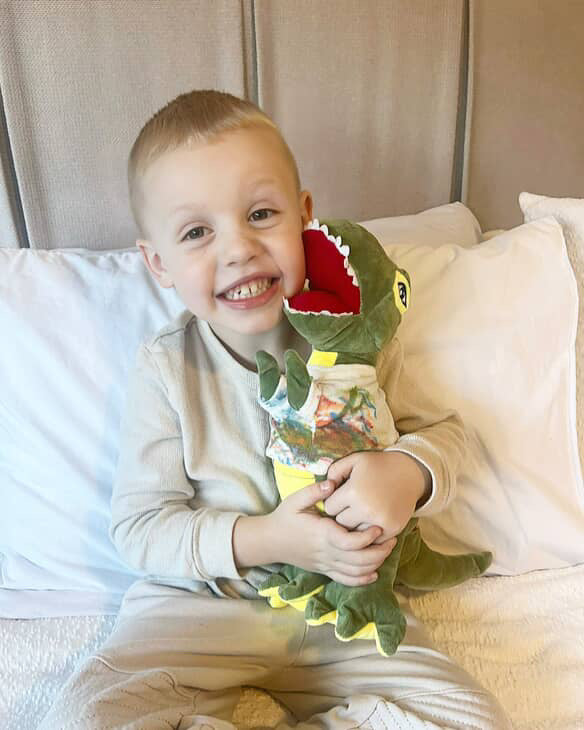 DIY BUILD A DINOSAUR