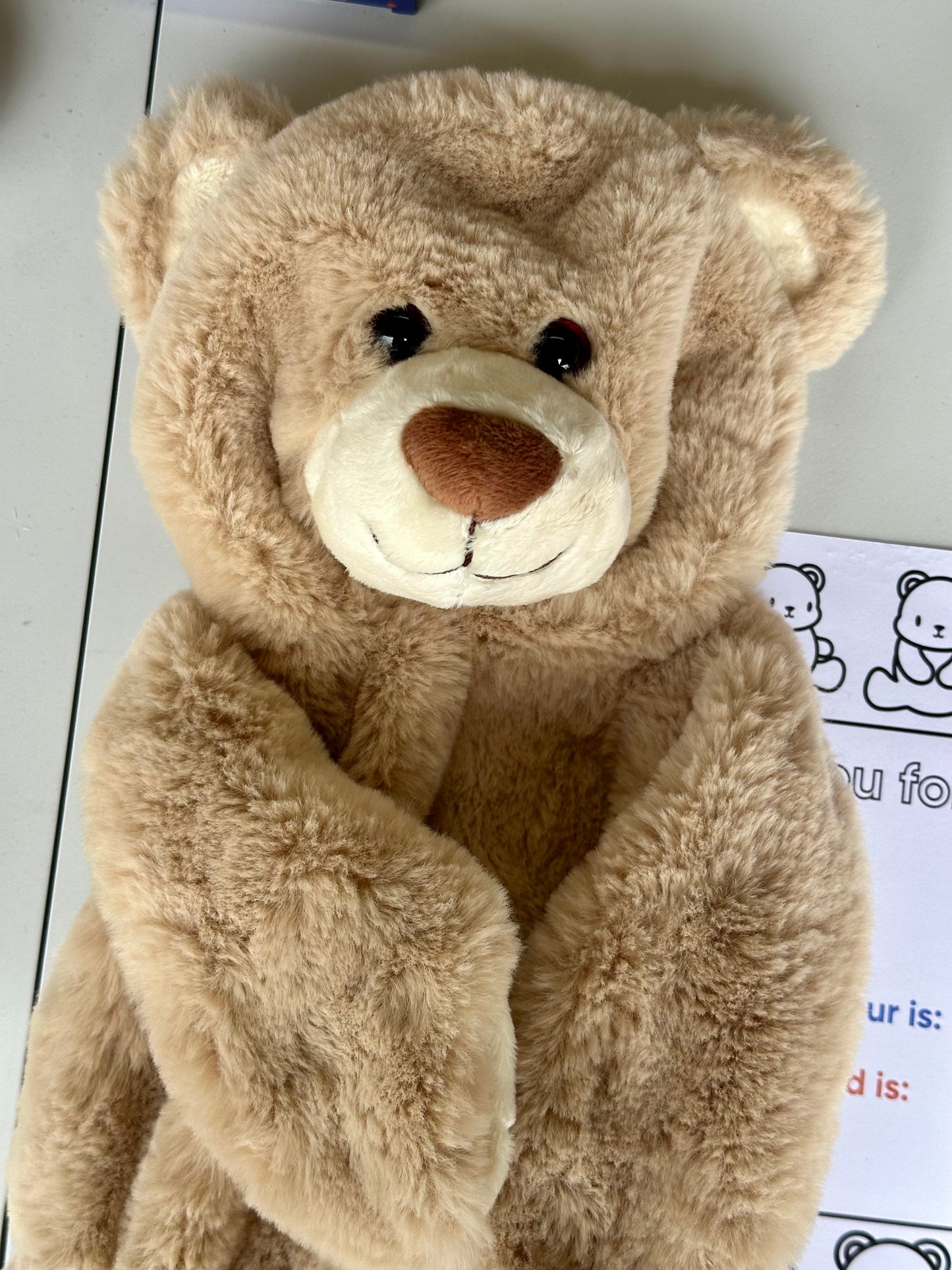 BUILD A BEAR EXPERIENCE